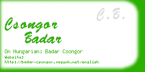 csongor badar business card